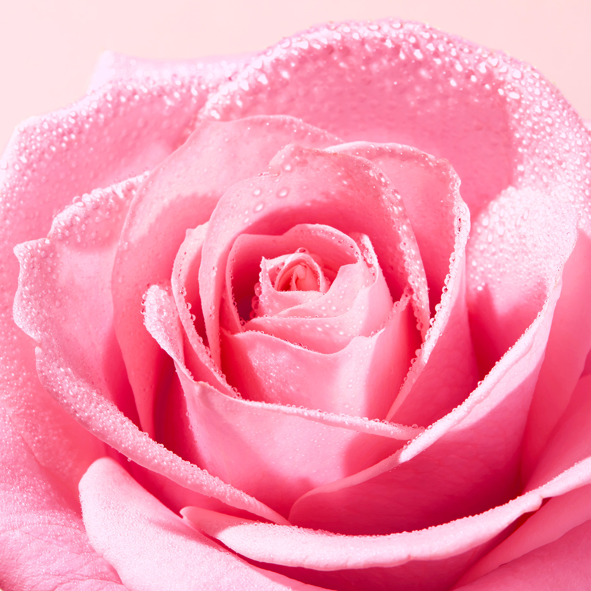 Nuxe - Very Rose - Latte Struccante 200 ml