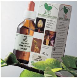 SEQUOIA 100ML MG SEQUOIA 100ML MG