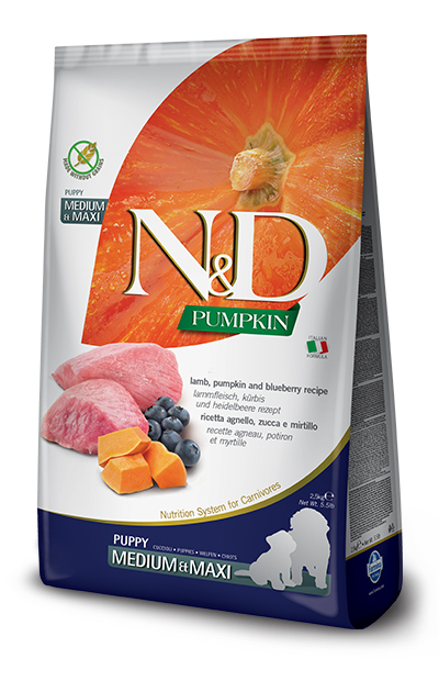N&D GF P LAMB&BLU PU M/MAX12KG