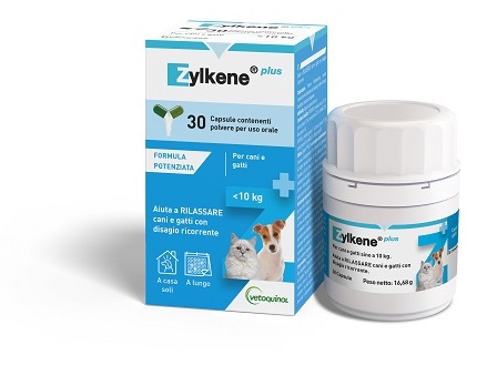 ZYLKENE Plus