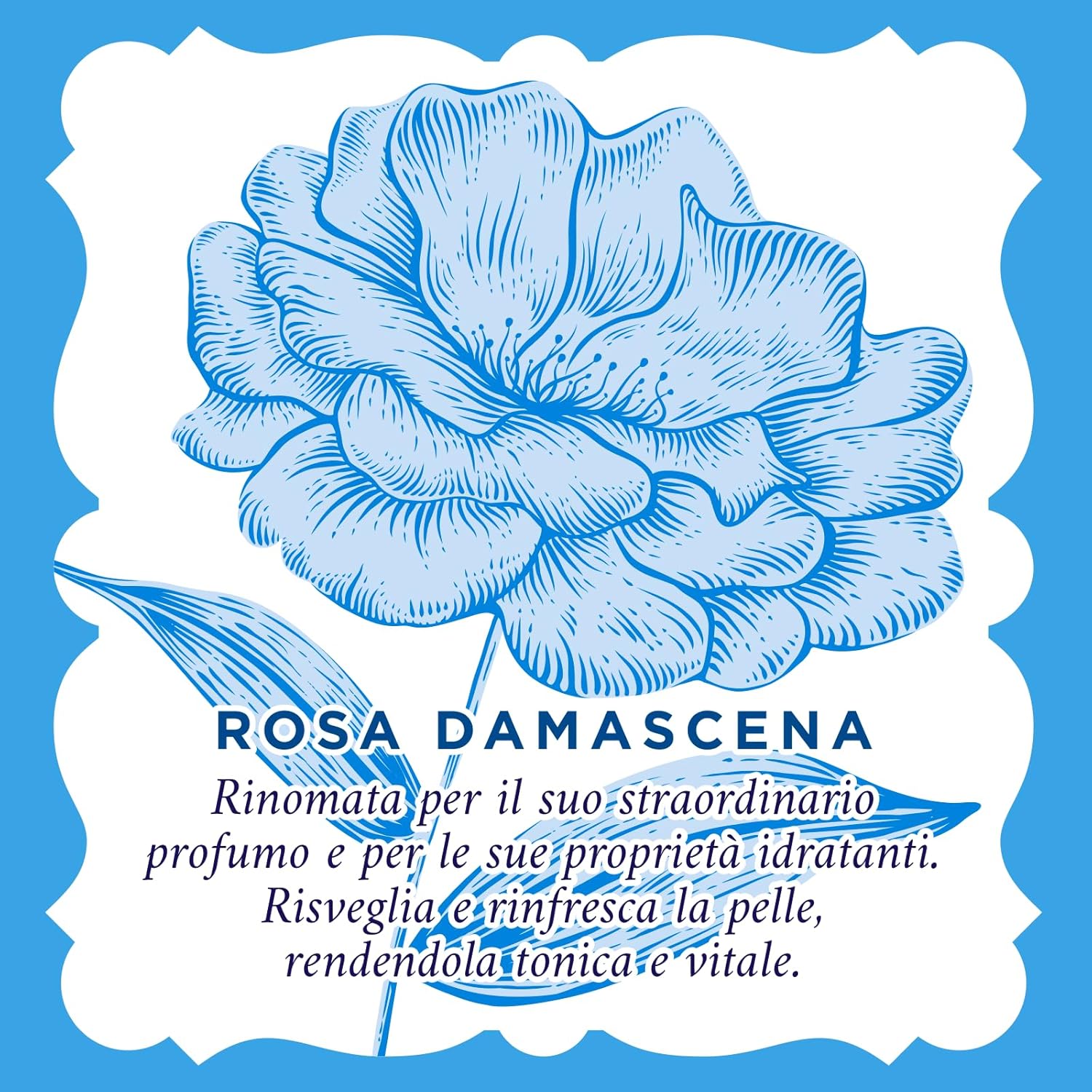 Acqua Alle Rose - 15 Salviettine Rinfrescanti Per Pelli Normali