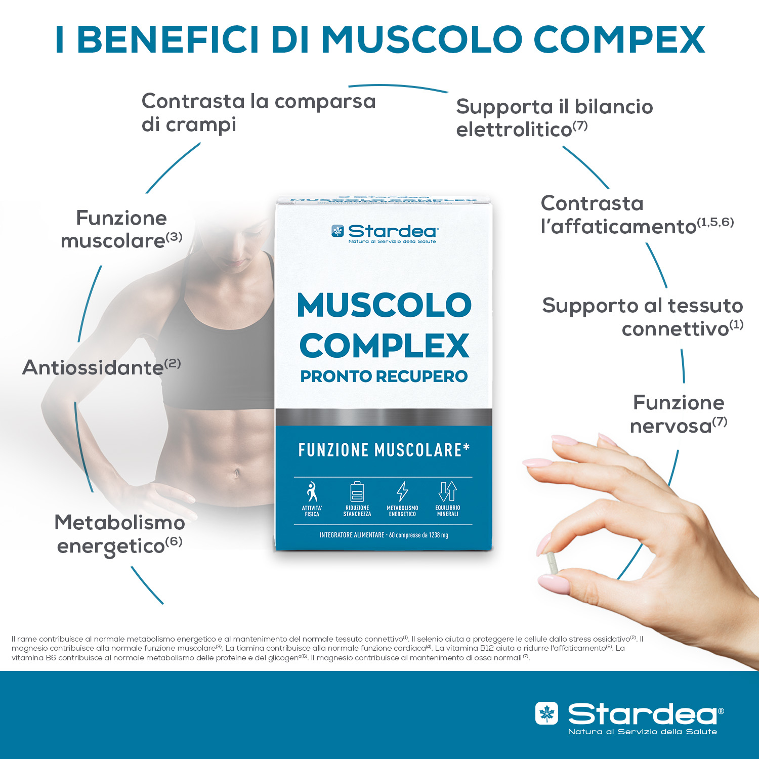 STARDEA MUSCOLO COMPLEX PRONTO RECUPERO Compresse - integratore alimentare a base di Potassio, Magnesio, Rame e Selenio con Vitamine B6, B1 e B12. STARDEA MUSCOLO COMPLEX PRONTO RECUPERO Compresse - integratore alimentare a base di Potassio, Magnesio, Rame e Selenio con Vitamine B6, B1 e B12.