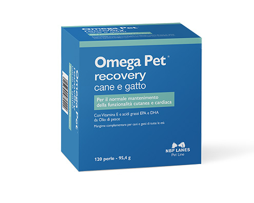 Nbf Lanes Omega Pet Recovery Integratore Infiammazioni Cani E Gatti 120 Perle Nbf Lanes Omega Pet Recovery Integratore Infiammazioni Cani E Gatti 120 Perle