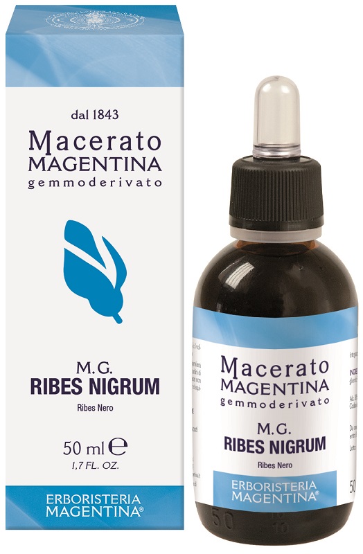 RIBES NIGRUM MACERATO MAGE50ML