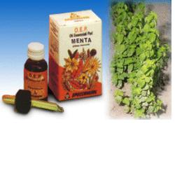 Specchiasol O.E.P. Olio Essenziale Puro Menta 10 ml