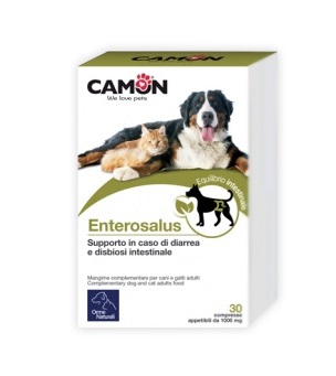 ENTEROSALUS 30CPR 1G