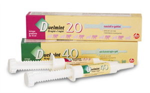 DUELMINT 20 ROSA SIR 15ML