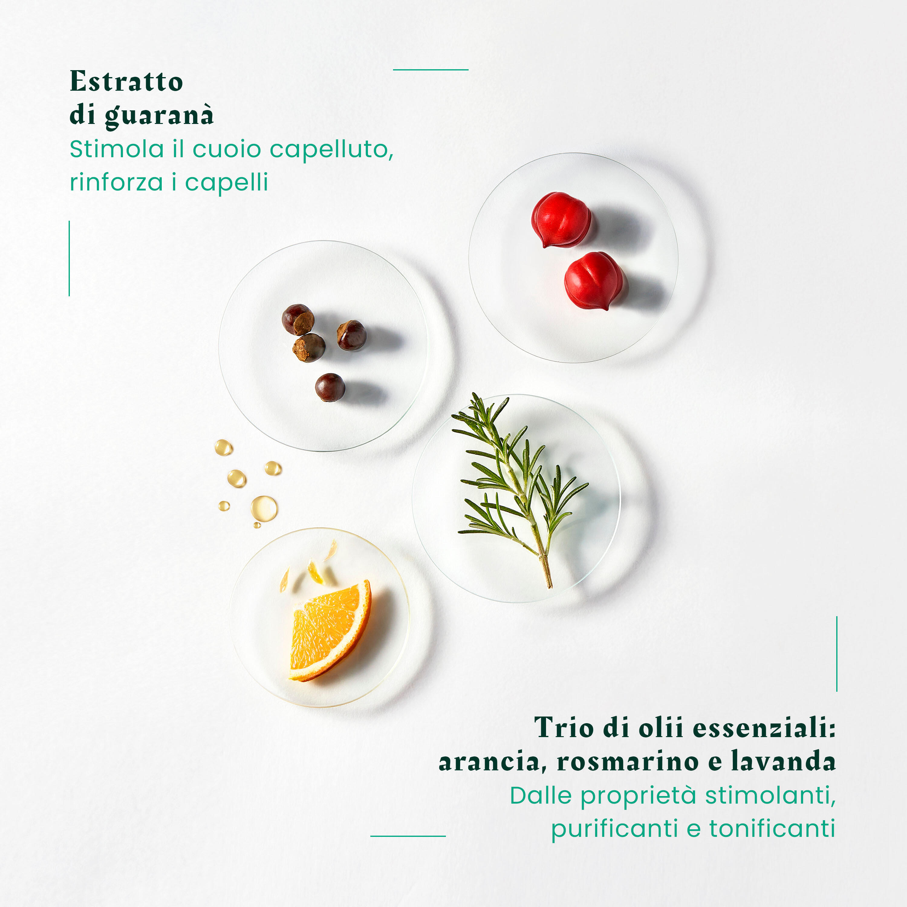 René Furterer Forticea - Shampoo Fortificante Rivitalizzante 200 ml