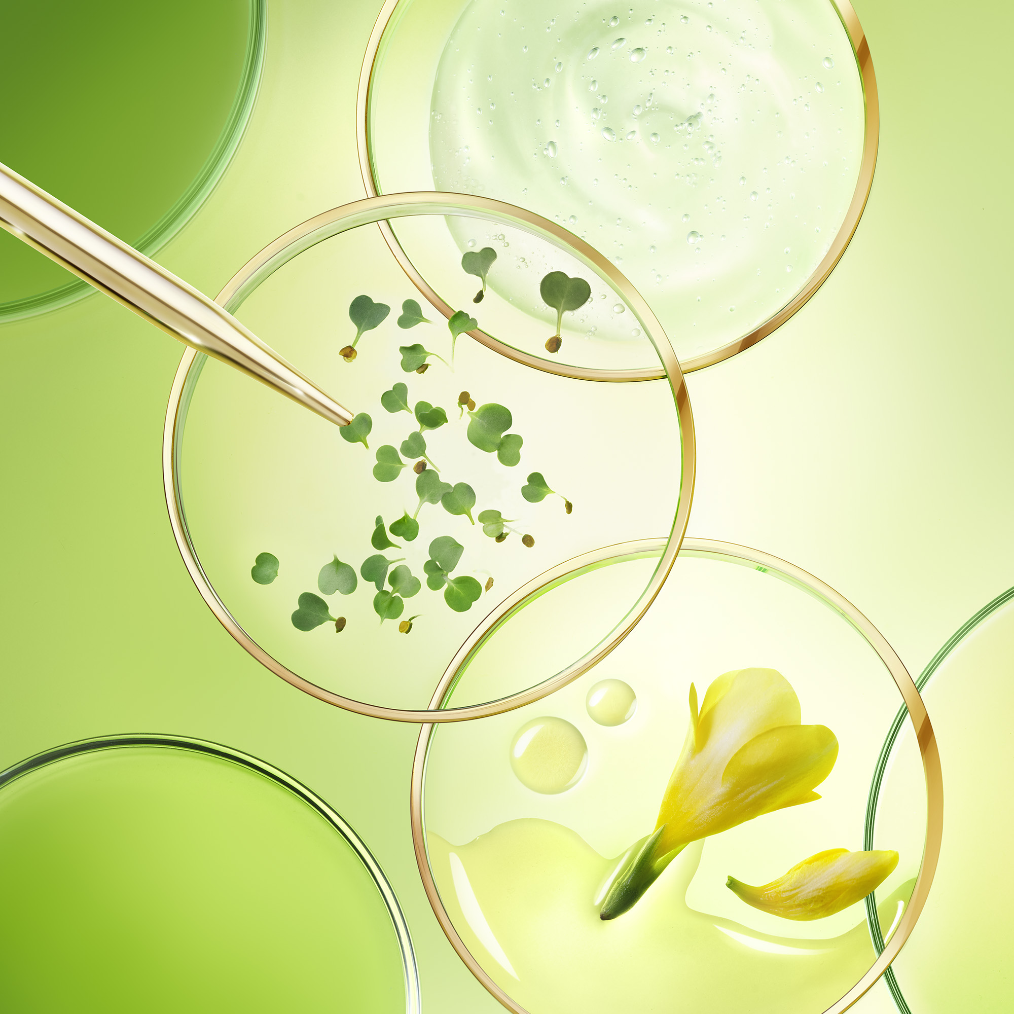 Nuxe - Nuxuriance Ultra - Crema Notte Anti-Età Globale 50 ml