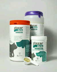 Teknofarma Glazar Derm Polvere Integratore Vitaminico Cani E Gatti 150 G