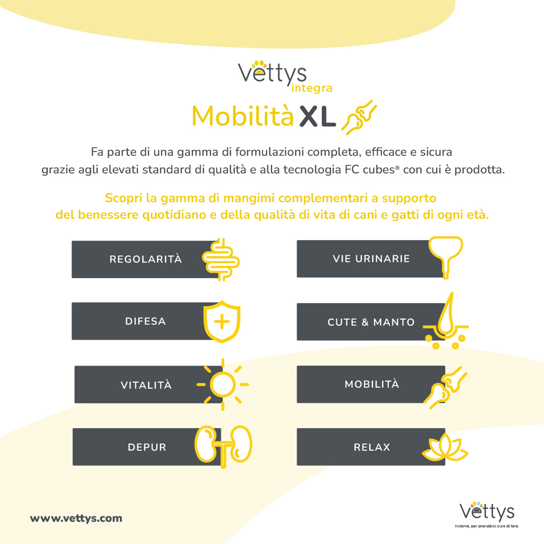 VETTYS Integra Mobilita'XL 