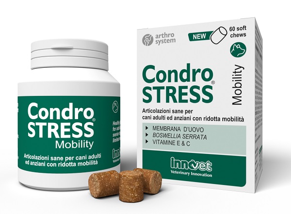 CONDROSTRESS Mobility 60Chews CONDROSTRESS Mobility 60Chews