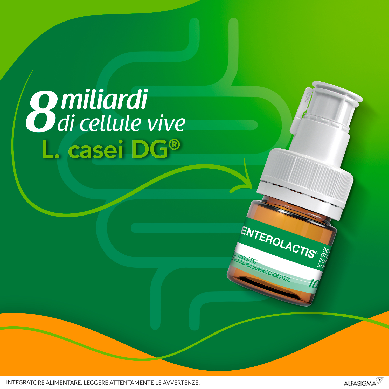 Enterolactis Bevibile, Integratore Alimentare con Fermenti lattici, probiotici L,Casei DG, 8 Miliardi Cellule Vive, Senza Glutine e Lattosio, 6 Flaconcini da 10ml, Gusto Fragola
