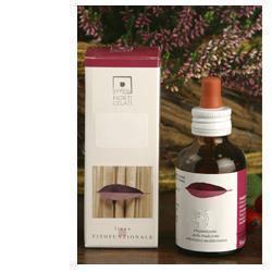FAGUS SYLVATICA MG GTT 50ML HO