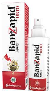 BANZAPID SPR TRATTAMENTO 100ML BANZAPID SPR TRATTAMENTO 100ML