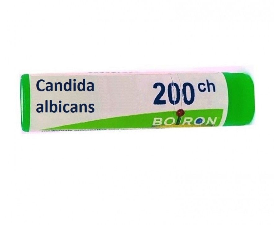 CANDIDA ALBICAN 200CH GL BO CANDIDA ALBICAN 200CH GL BO