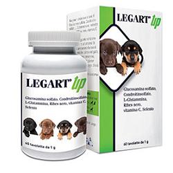 Ddf Legart Up Integratore Articolare Cani E Gatti 60 Compresse Ddf Legart Up Integratore Articolare Cani E Gatti 60 Compresse