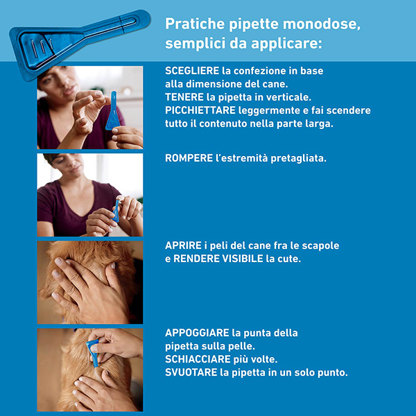 FRONTLINE SPOTON 4P 2,68ML 20-40