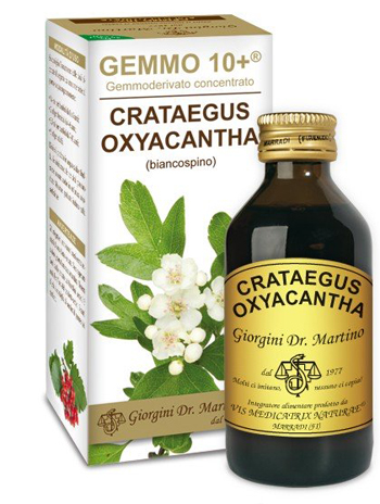 Dr. Giorgini Gemmo 10+ Biancospino Liquido Analcolico 100 ml Dr. Giorgini Gemmo 10+ Biancospino Liquido Analcolico 100 ml