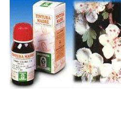 Specchiasol Biancospino 10 Tintura Madre 50 ml Specchiasol Biancospino 10 Tintura Madre 50 ml