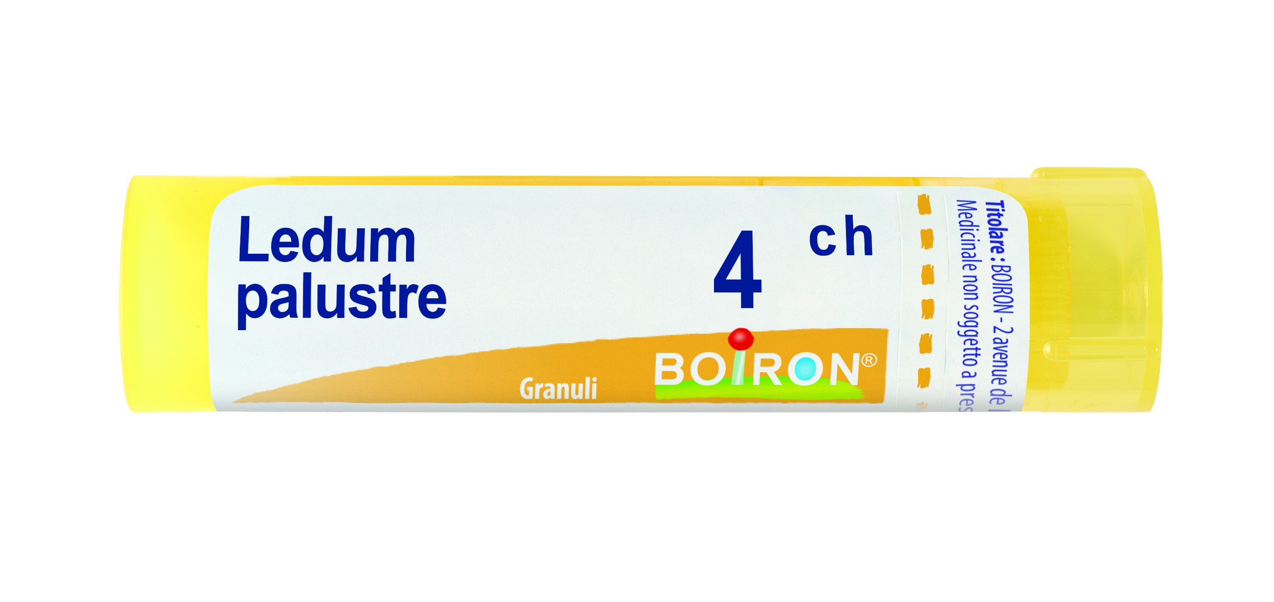 LEDUM PALUSTRE Tubo  4CH