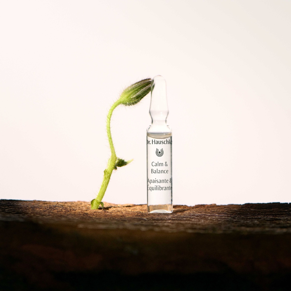 Dr. Hauschka - Calm And Balance Ampoules 28 Fiale Da 2 ml - Trattamento Anti-Rossore Viso