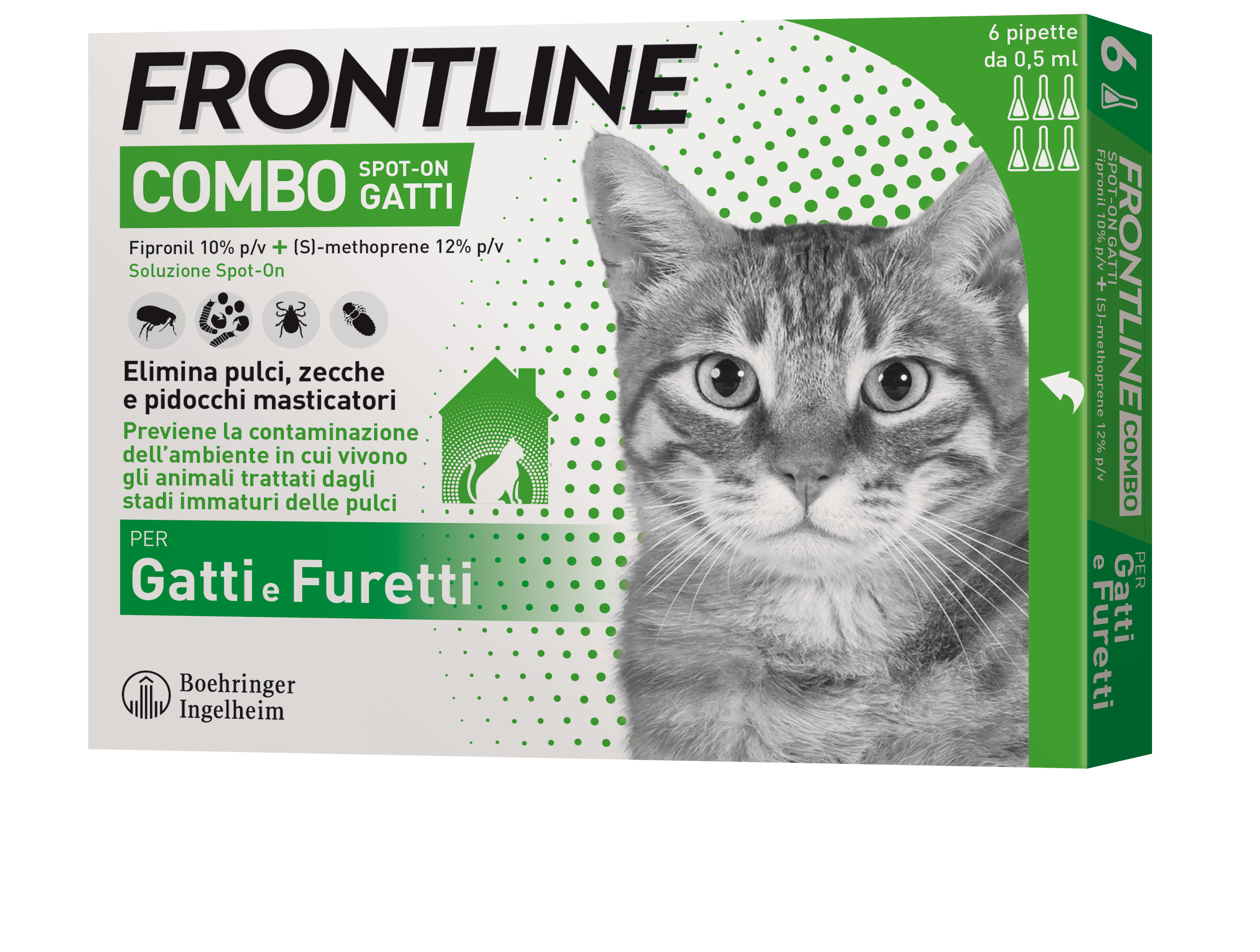 FRONTLINE COMBO SPOTON Gatti/ furetti 6 pipette