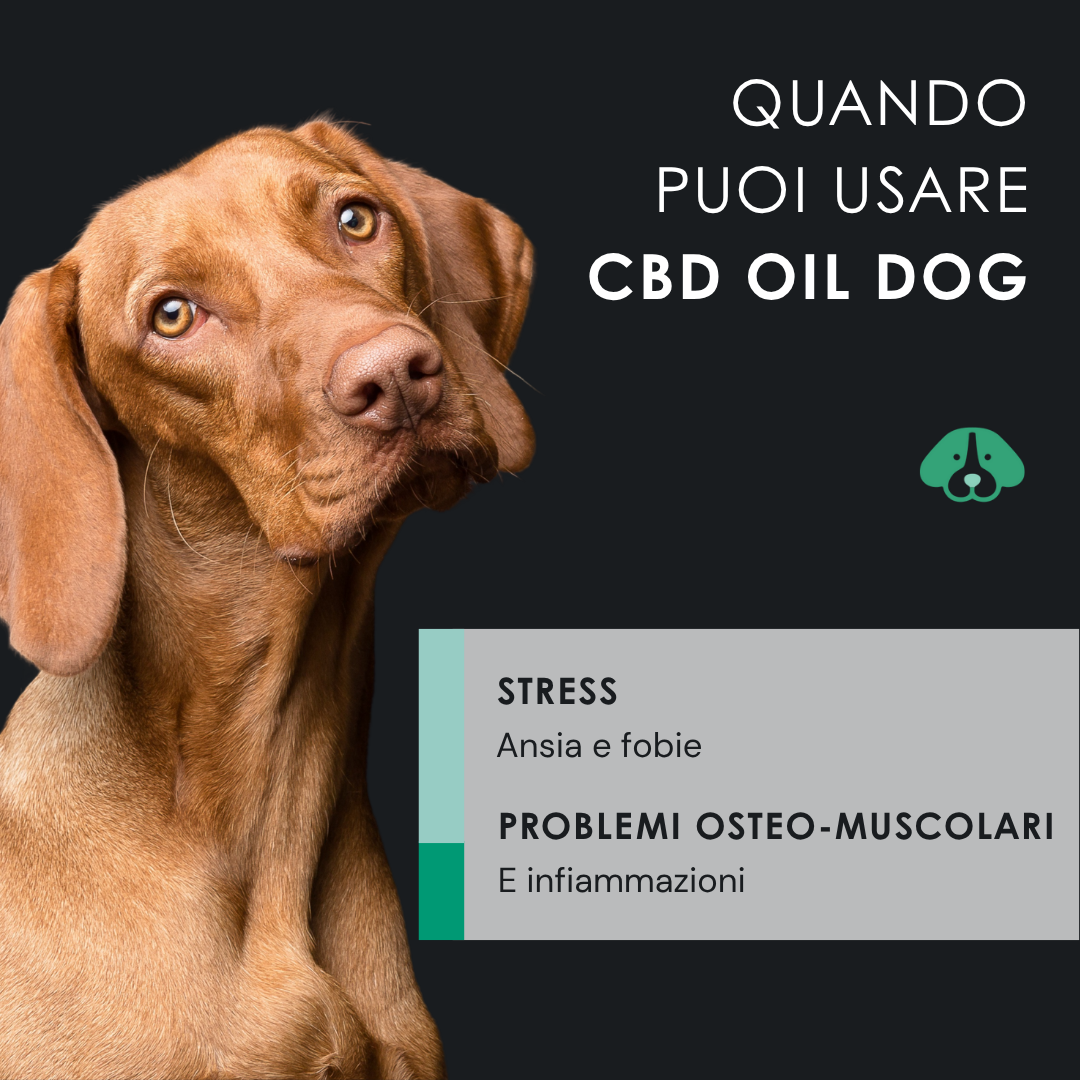 Eusphera CBD Oil Dog - Olio Rilassante per Cani 30 ml
