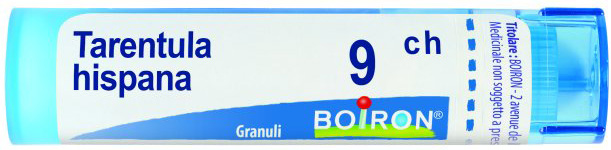 TARENTULA HISPANA 9CH GR BO