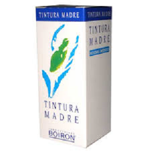 Angelica Arcangelica Boiron Tintura Madre 60ml