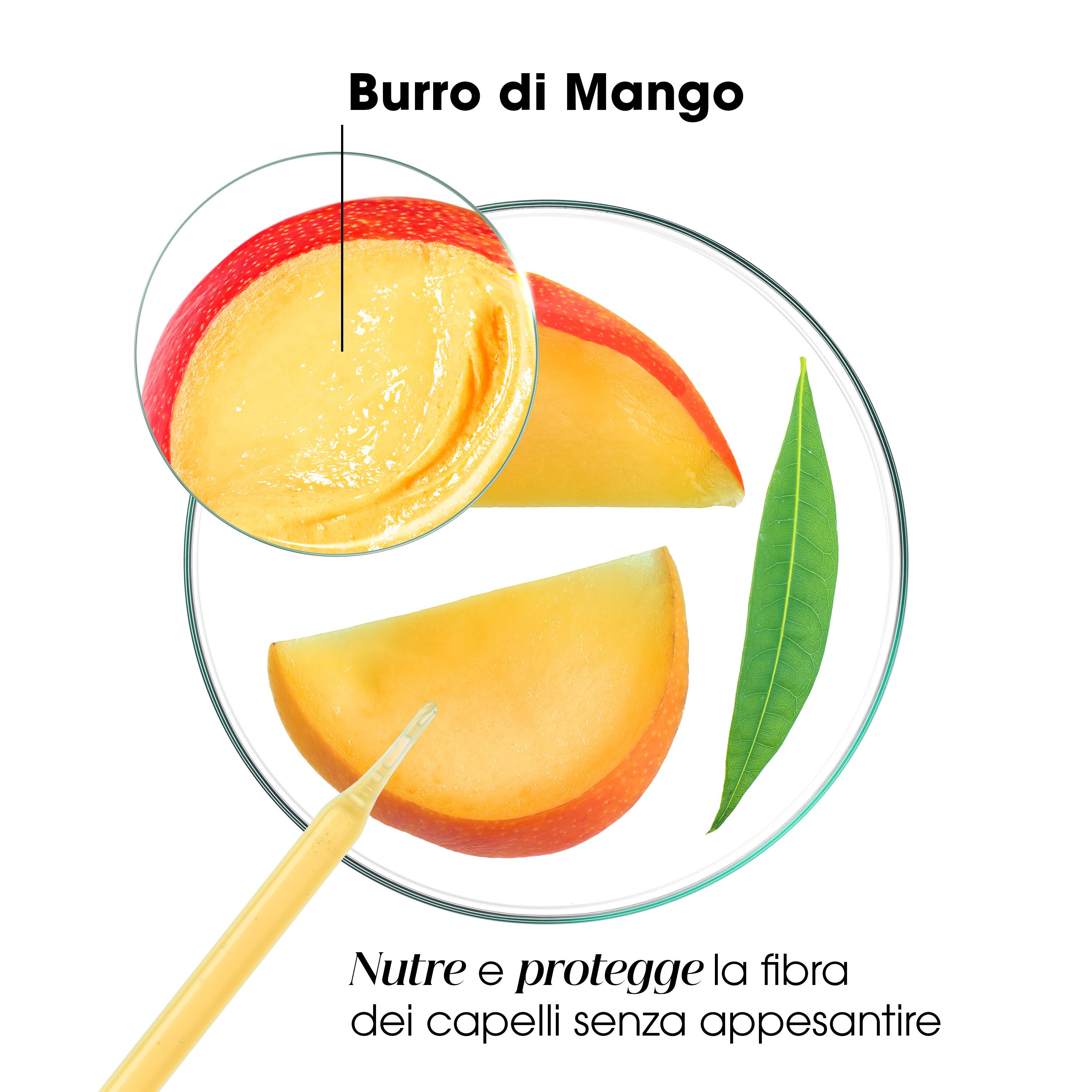 Klorane - Shampoo Nutritivo Al Mango Per Capelli Secchi 200 ml