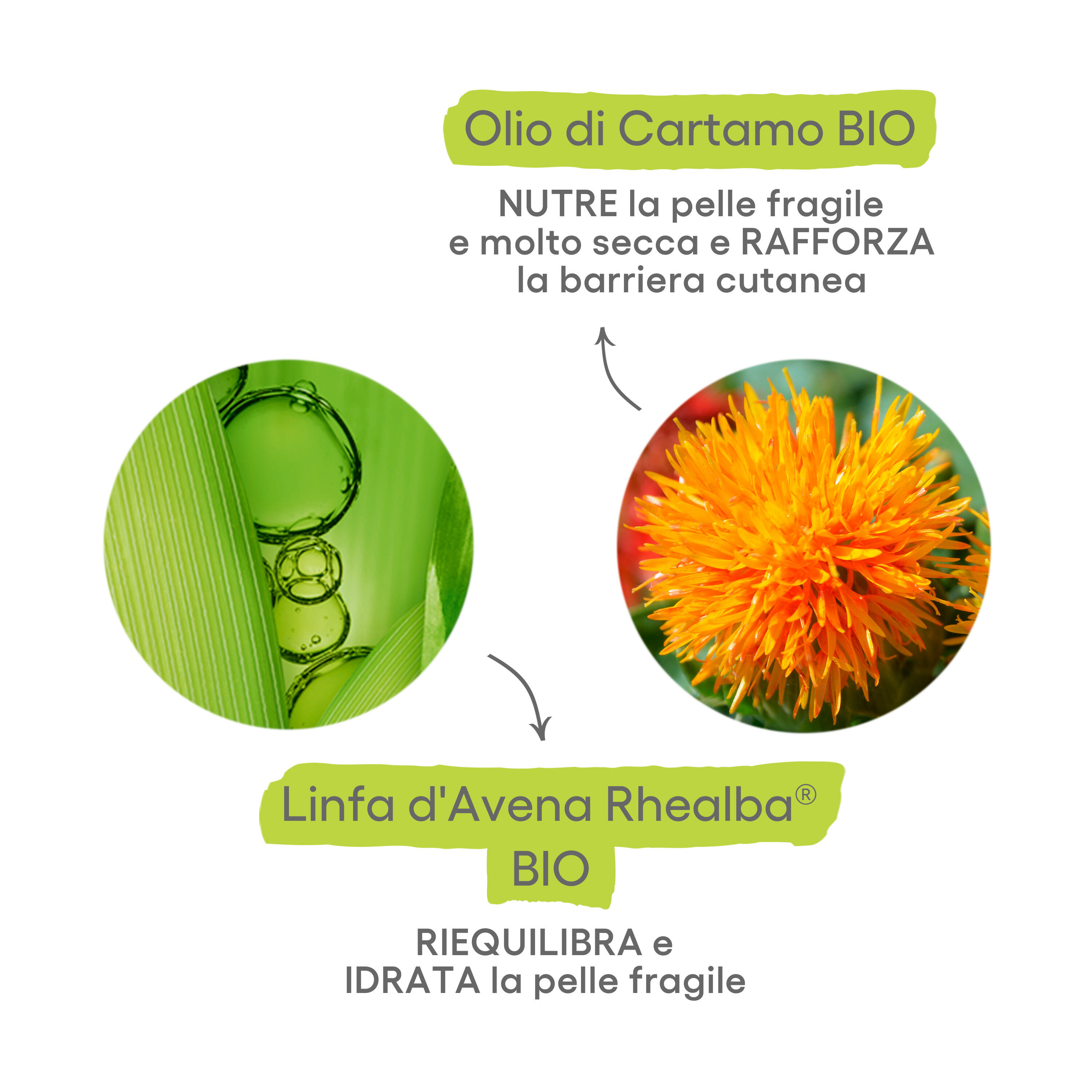 A-Derma Biology Nutri - Trattamento Dermatologico Nutritivo Per Pelle Molto Secca 40 ml