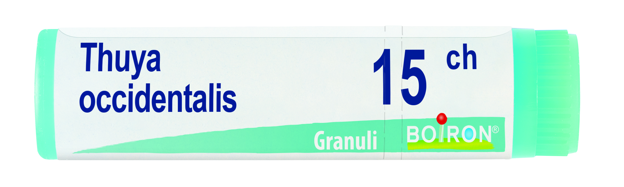 Boiron Thuya Occidentalis 15CH Globuli Omeopatici Boiron Thuya Occidentalis 15CH Globuli Omeopatici