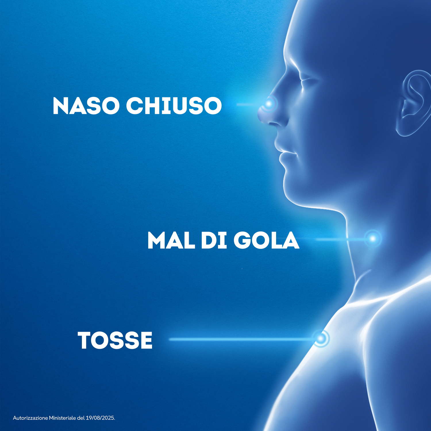 VICKS VapoRub Vapore per Inalazione Unguento 35 g Applicatore Stick