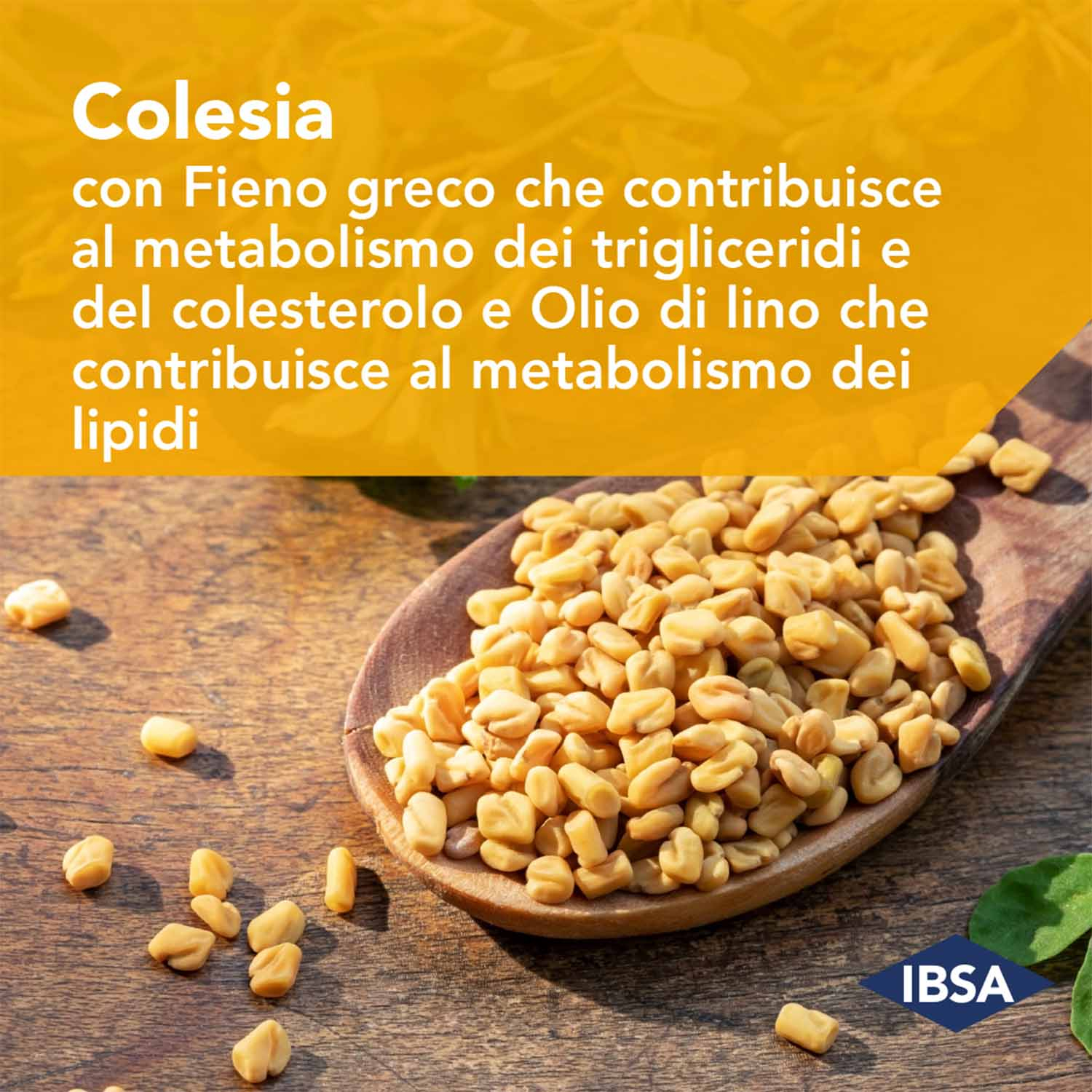 Colesia - Integratore Per il Colesterolo - 30 Capsule Molli Colesia - Integratore Per il Colesterolo - 30 Capsule Molli