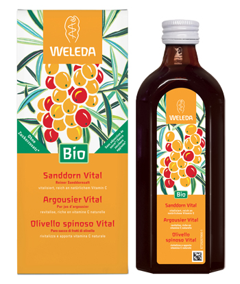 OLIVELLO SPINOSO VITAL SUCCO OLIVELLO SPINOSO VITAL SUCCO