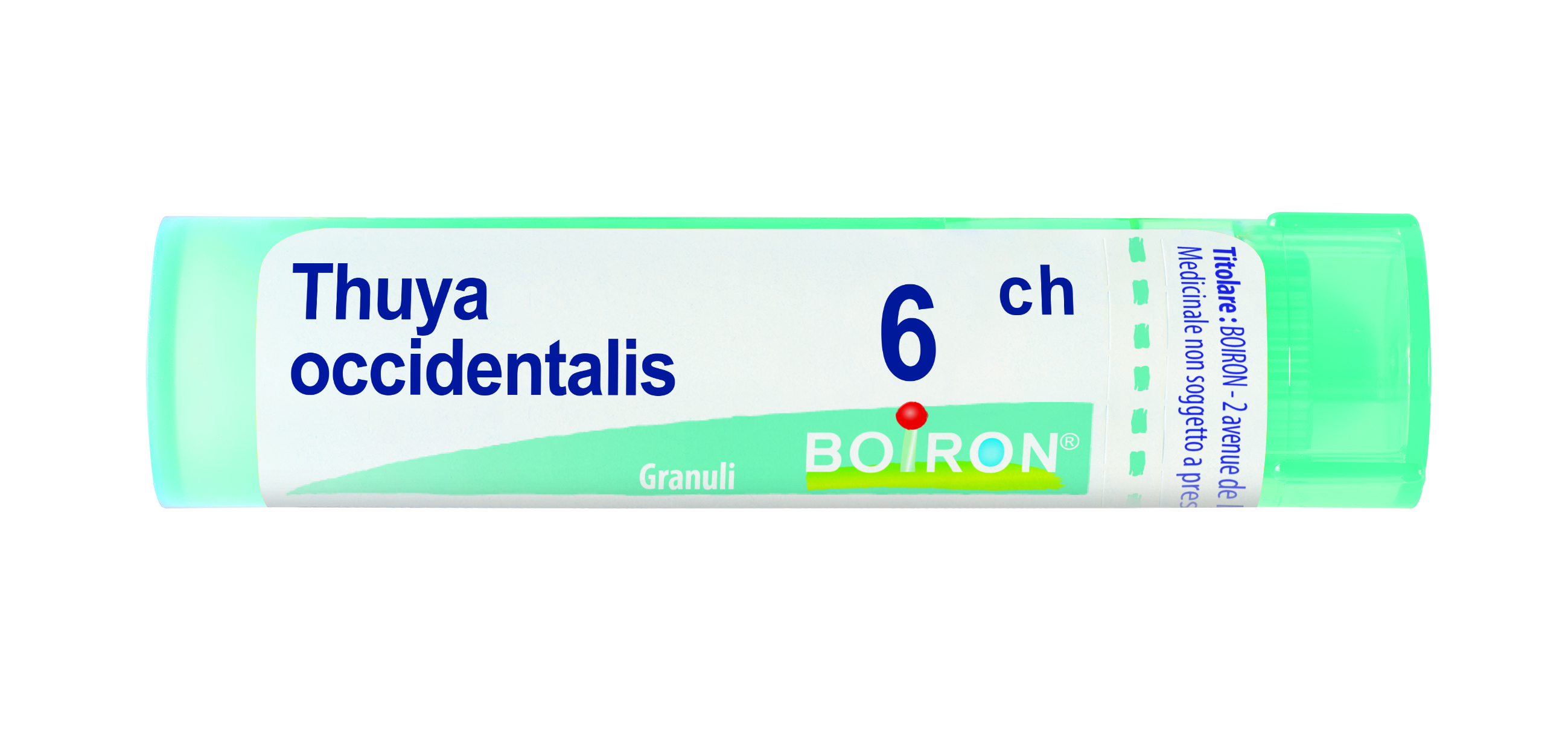 Boiron Thuya Occidentalis 6CH Granuli Tubo