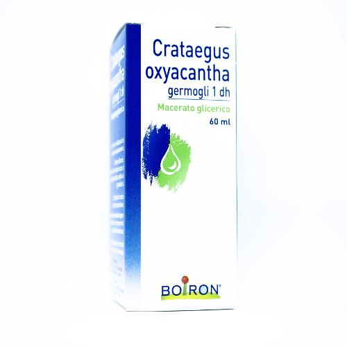 Boiron Crataegus Oxyacantha 1DH Macerato Glicerico 60 ml Boiron Crataegus Oxyacantha 1DH Macerato Glicerico 60 ml