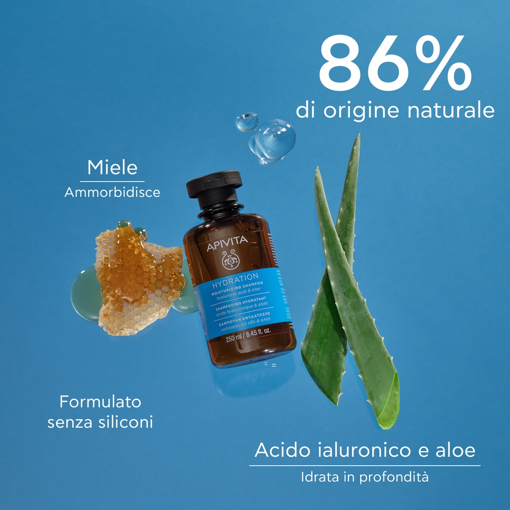 APIVITA SH MOISTUR 250ML/19 APIVITA SH MOISTUR 250ML/19