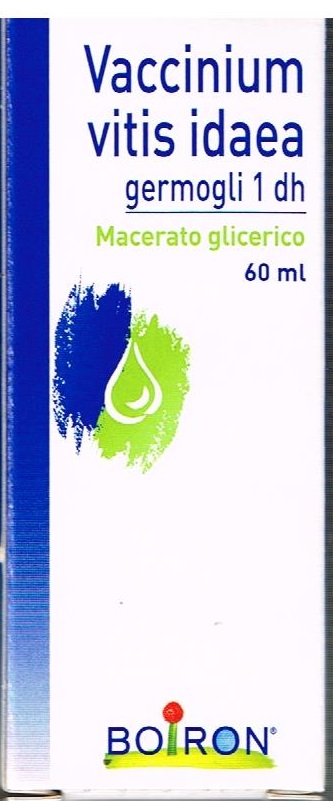 Boiron Vaccinium Vitis Idaea Macerato Glicerico 60 ml Boiron Vaccinium Vitis Idaea Macerato Glicerico 60 ml