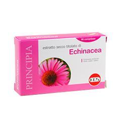 ECHINACEA ESTRATTO SECCO 60CPR ECHINACEA ESTRATTO SECCO 60CPR