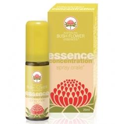 CONCENTRATION SPRAY ORALE 20ML CONCENTRATION SPRAY ORALE 20ML