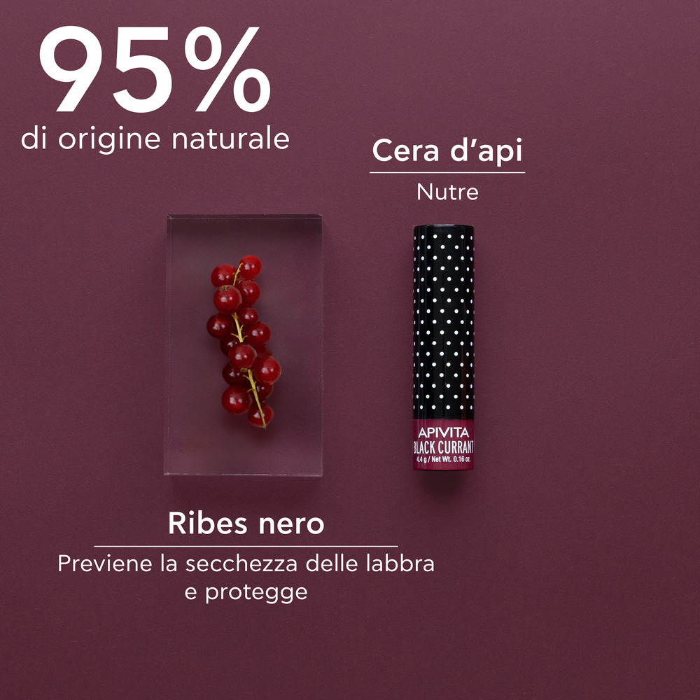 Apivita - Balsamo Labbra Al Ribes Nero Colore Bordeaux 4,4 g