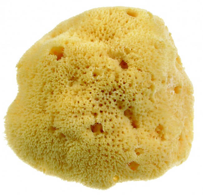 BEAUTYTIME SPUG NAT DAMA M BEAUTYTIME SPUG NAT DAMA M