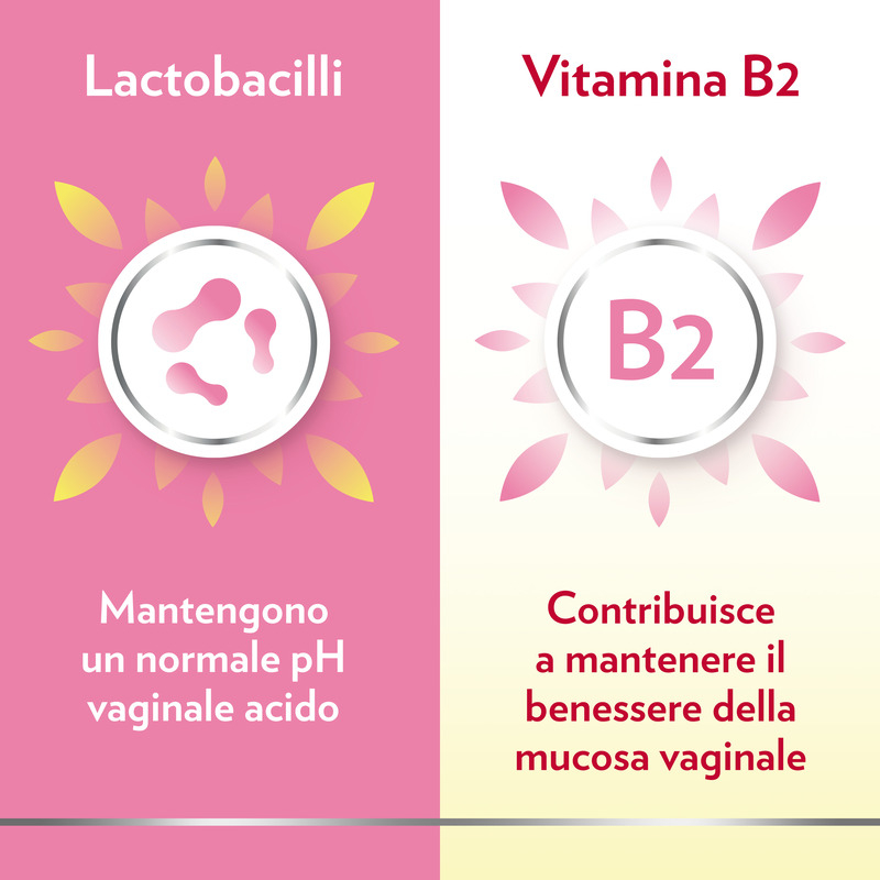 Gyno Canesflora Integratore alimentare per il benessere intimo femminile e il mantenimento della flora vaginale, con Vitamina B2 e lactobacilli, 30 capsule Gyno Canesflora Integratore alimentare per il benessere intimo femminile e il mantenimento della flora vaginale, con Vitamina B2 e lactobacilli, 30 capsule