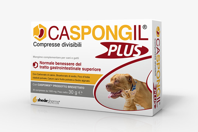 CASPONGIL Plus 30 Cpr CASPONGIL Plus 30 Cpr