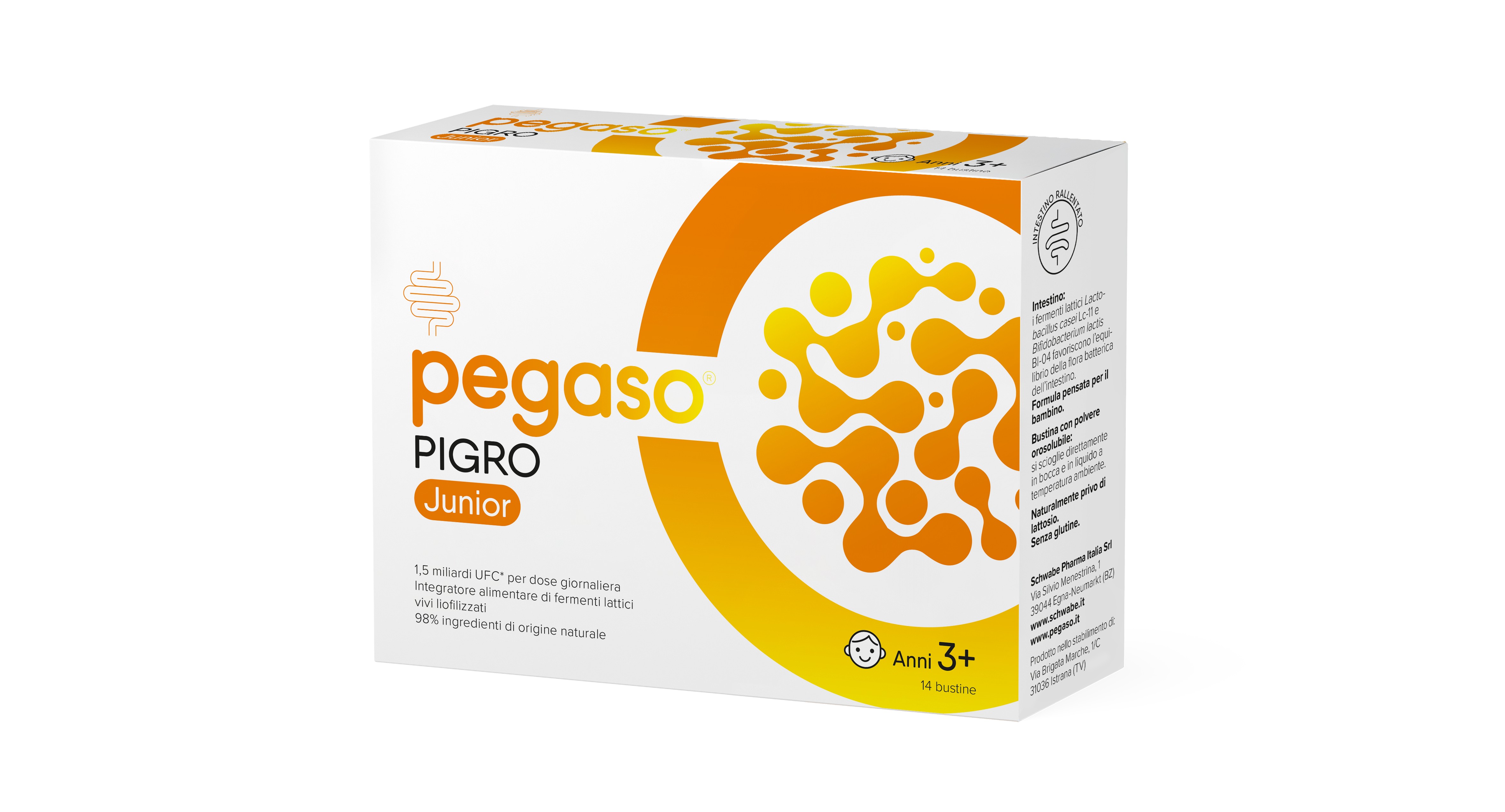 Schwabe Pharma - Pegaso Pigro Junio 14 Bustine - Integratore Di Fermenti Lattici