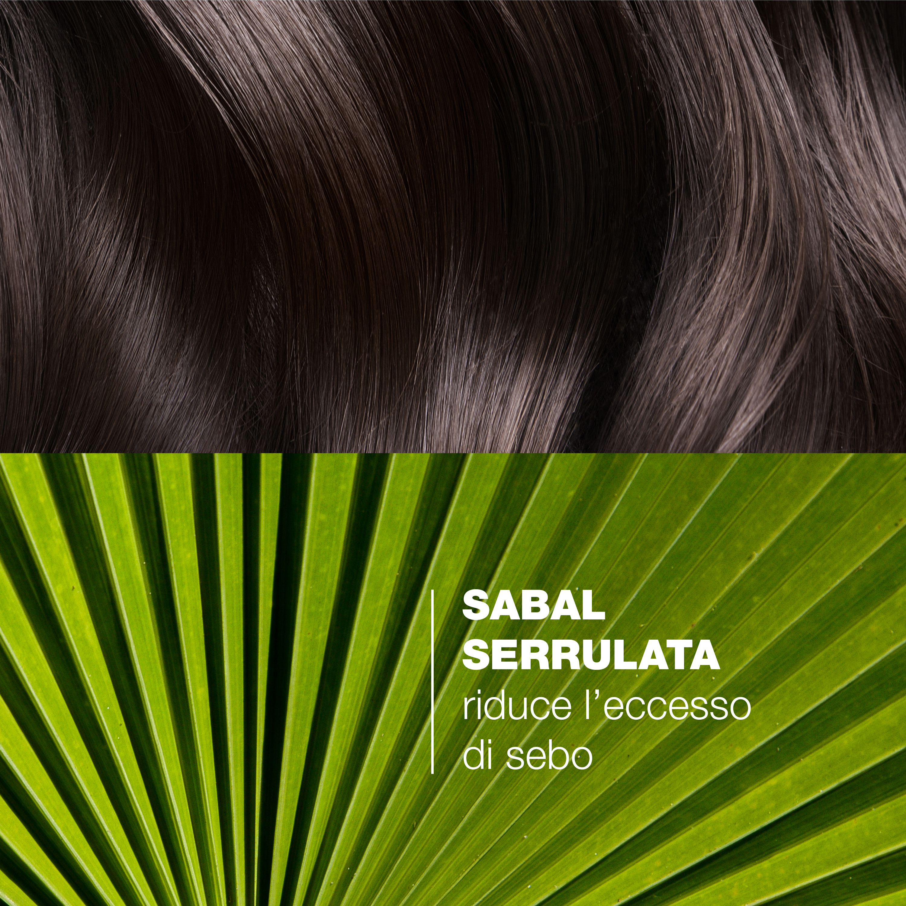 Ducray Sabal Shampoo trattante sebo-riduttore, Trattamento purificante anti sebo in eccesso, Cuoio capelluto e capelli grassi, 200ml