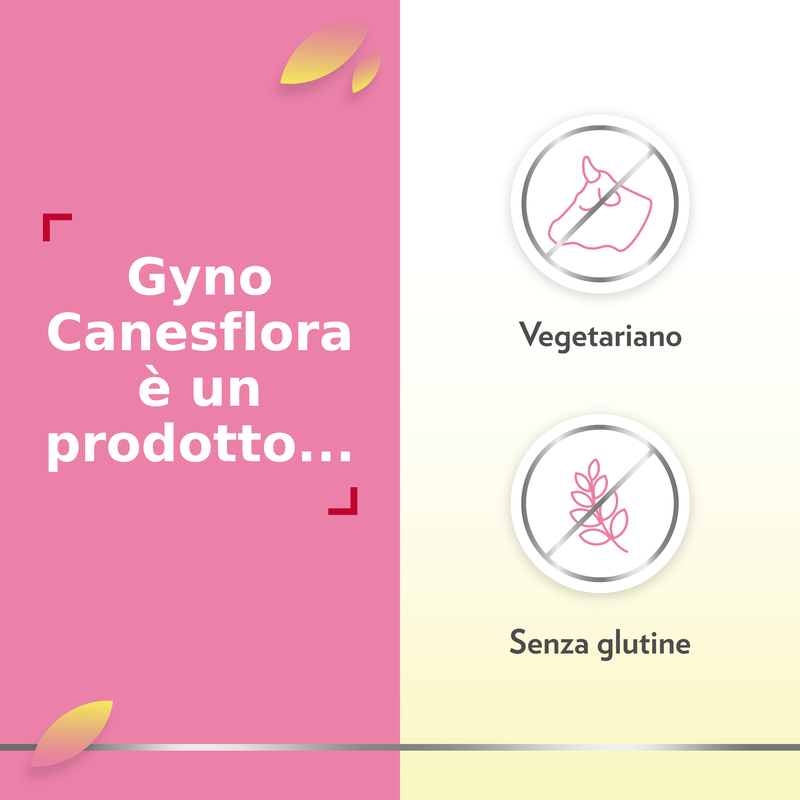 Gyno Canesflora Integratore alimentare per il benessere intimo femminile e il mantenimento della flora vaginale, con Vitamina B2 e lactobacilli, 30 capsule Gyno Canesflora Integratore alimentare per il benessere intimo femminile e il mantenimento della flora vaginale, con Vitamina B2 e lactobacilli, 30 capsule