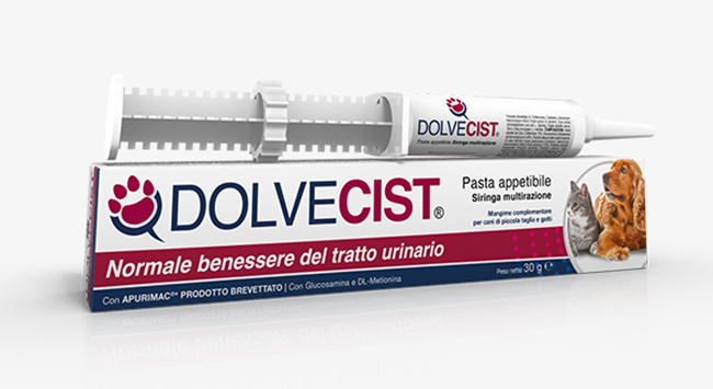DOLVECIST PASTA SIRINGA 30G DOLVECIST PASTA SIRINGA 30G